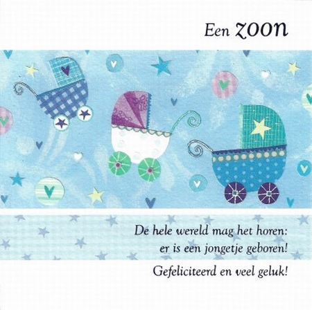 Een zoon