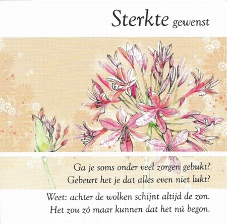 Sterkte