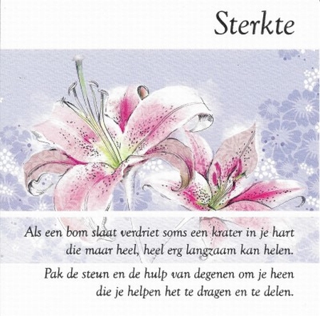 Sterkte