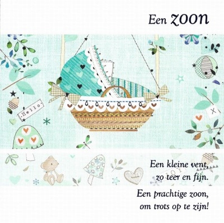 Een zoon