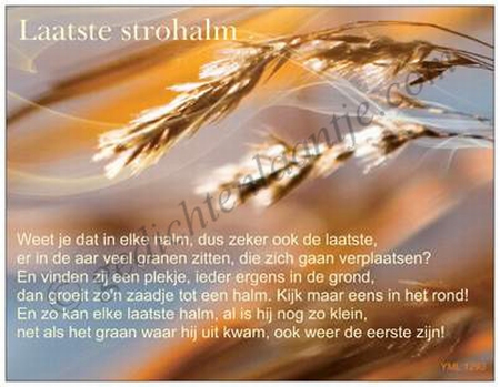 Gedichtkaart  YML 1293: Laatste strohalm