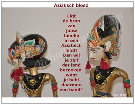 Gedichtkaart  YML 1658: Aziatisch bloed