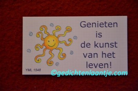 Gedachtekaartje YML 1548 kleur: Genieten