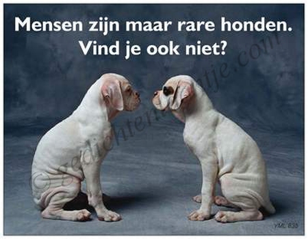 Gedichtkaart YML 835: Mensen zijn maar rare honden