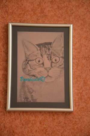 Print van  grafiettekening YML Poes 220912 achtergrond zwart