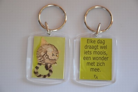 Sleutelhanger Y/D 015: Een wonder - Furballkitten knipoog