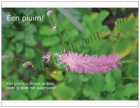 Gedichtkaart YML 1557: Een pluim!