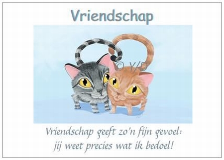 Ansichtkaart Y/D 002: Vriendschap