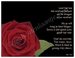 Gedichtkaart met gedicht YML 1015: Steun 